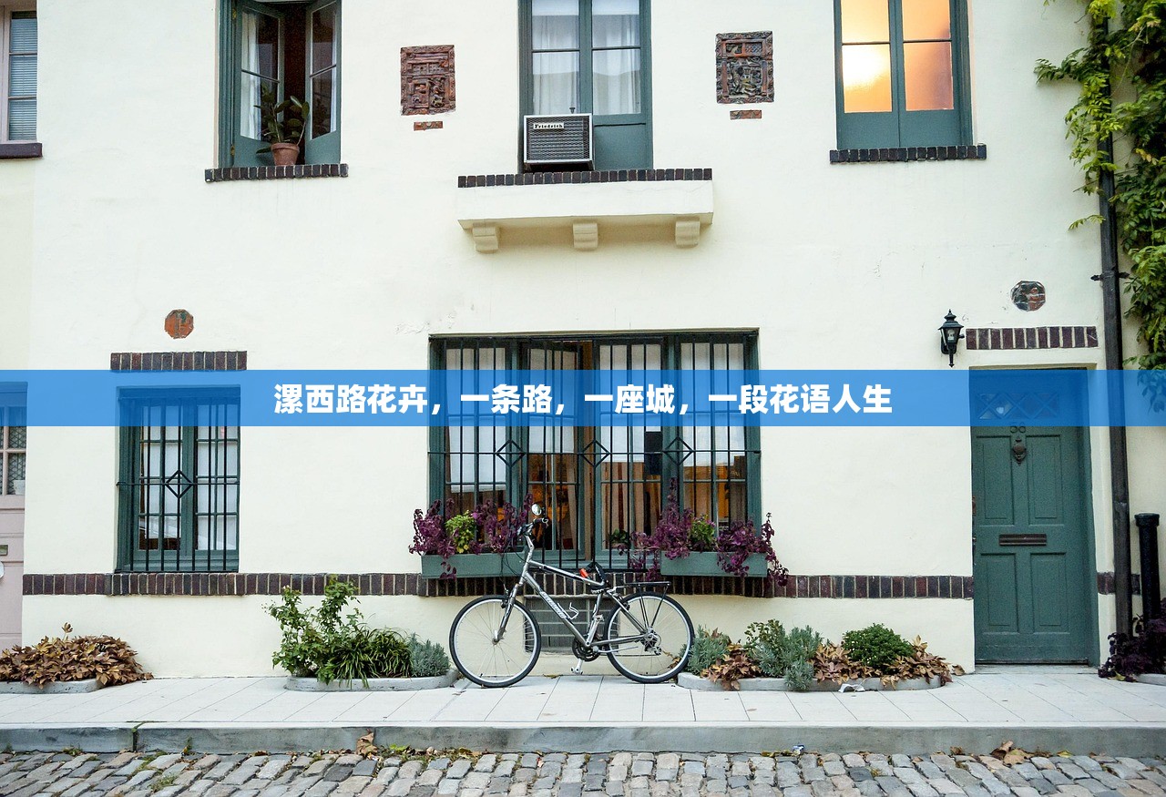 漯西路花卉，一条路，一座城，一段花语人生
