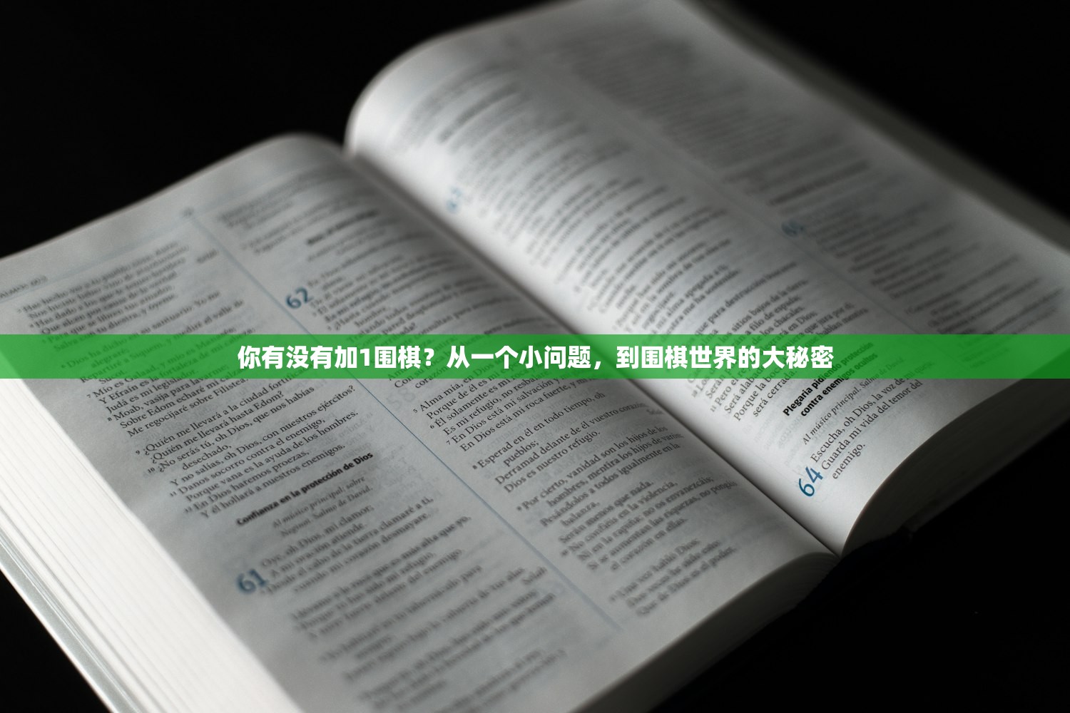 你有没有加1围棋？从一个小问题，到围棋世界的大秘密