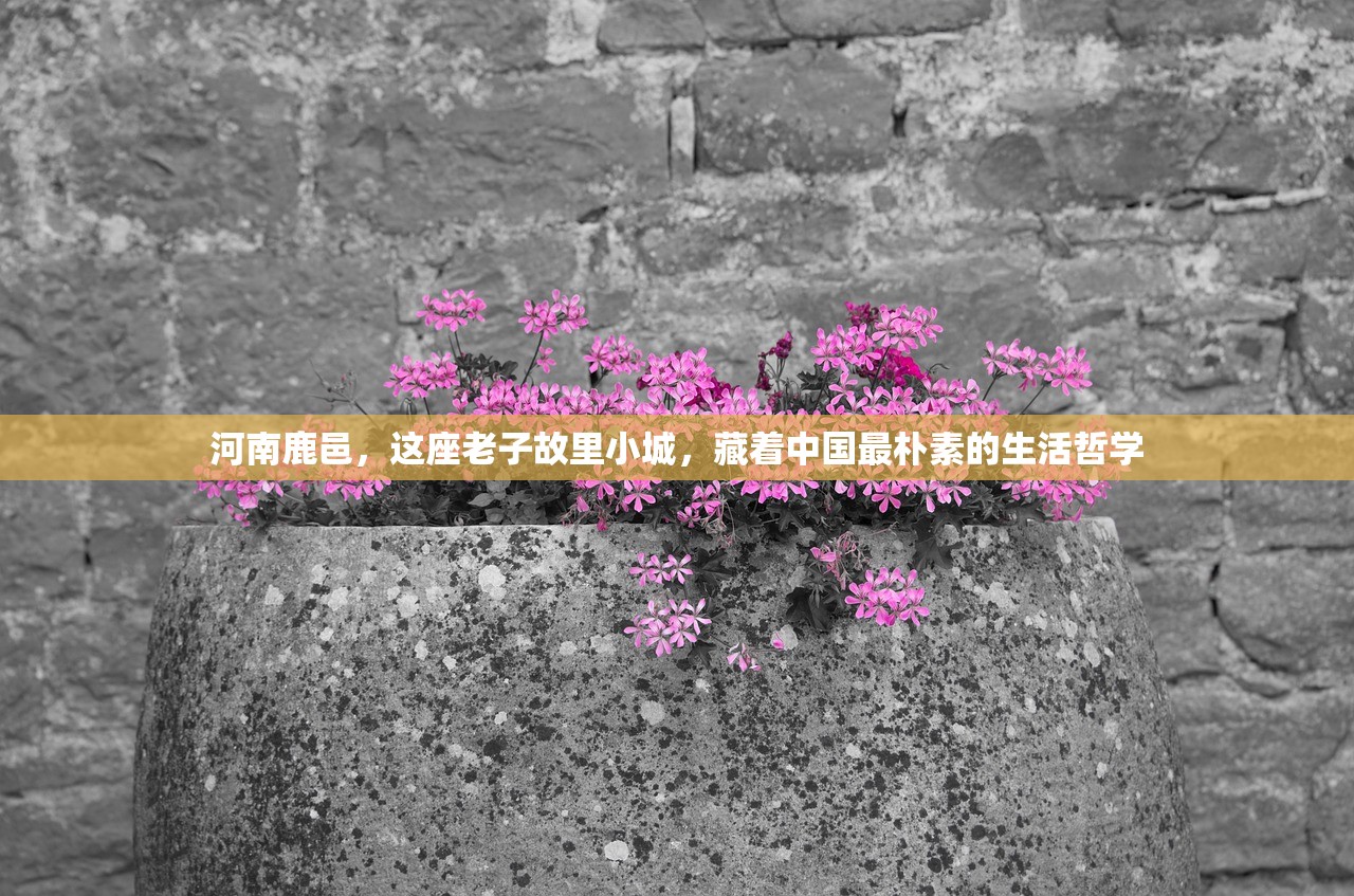 河南鹿邑，这座老子故里小城，藏着中国最朴素的生活哲学