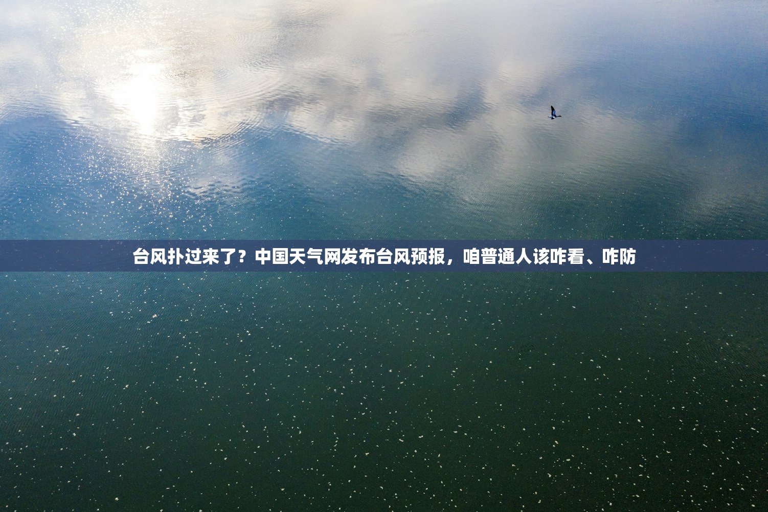 台风扑过来了？中国天气网发布台风预报，咱普通人该咋看、咋防