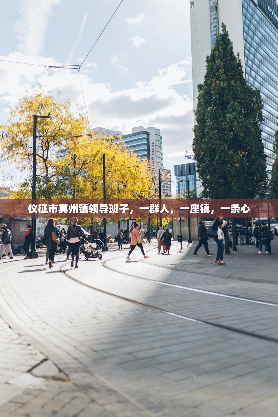 仪征市真州镇领导班子，一群人，一座镇，一条心