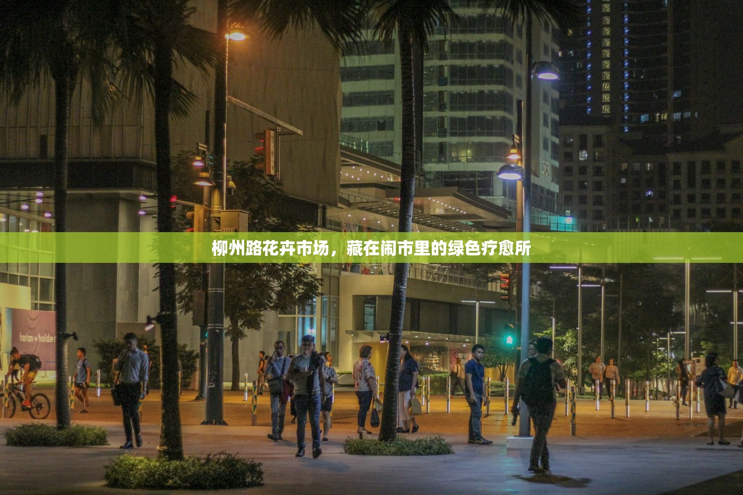 柳州路花卉市场，藏在闹市里的绿色疗愈所