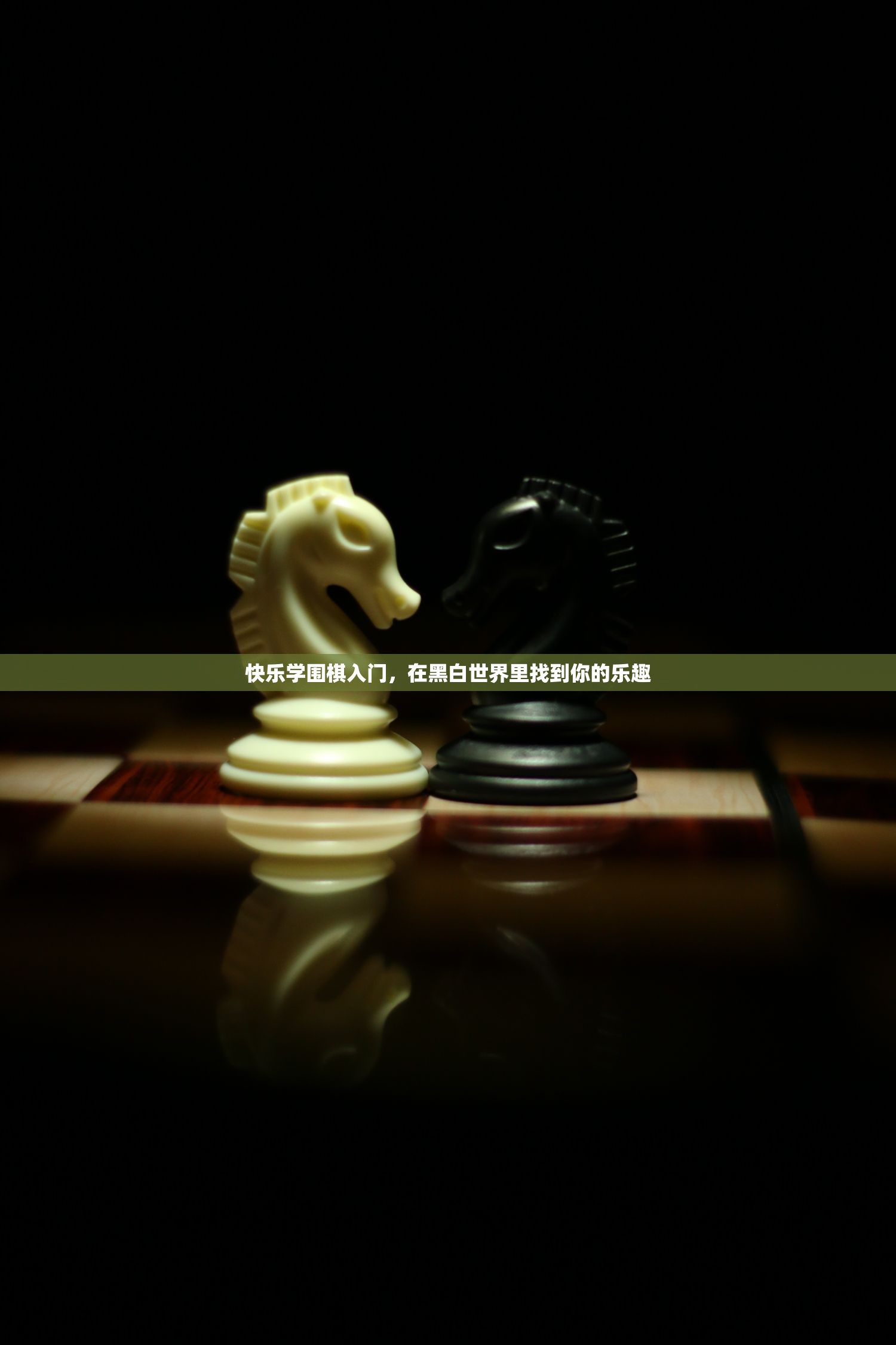 快乐学围棋入门，在黑白世界里找到你的乐趣