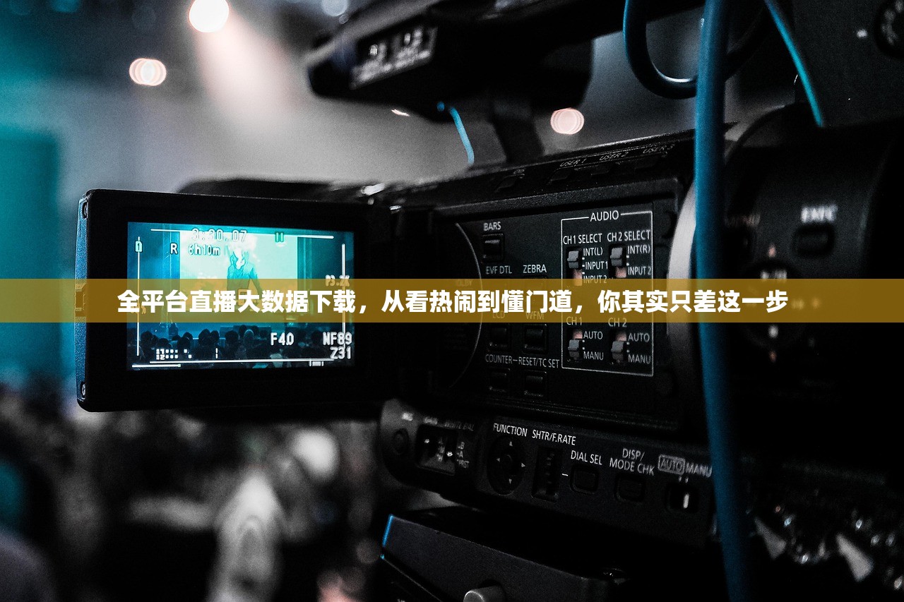 全平台直播大数据下载，从看热闹到懂门道，你其实只差这一步