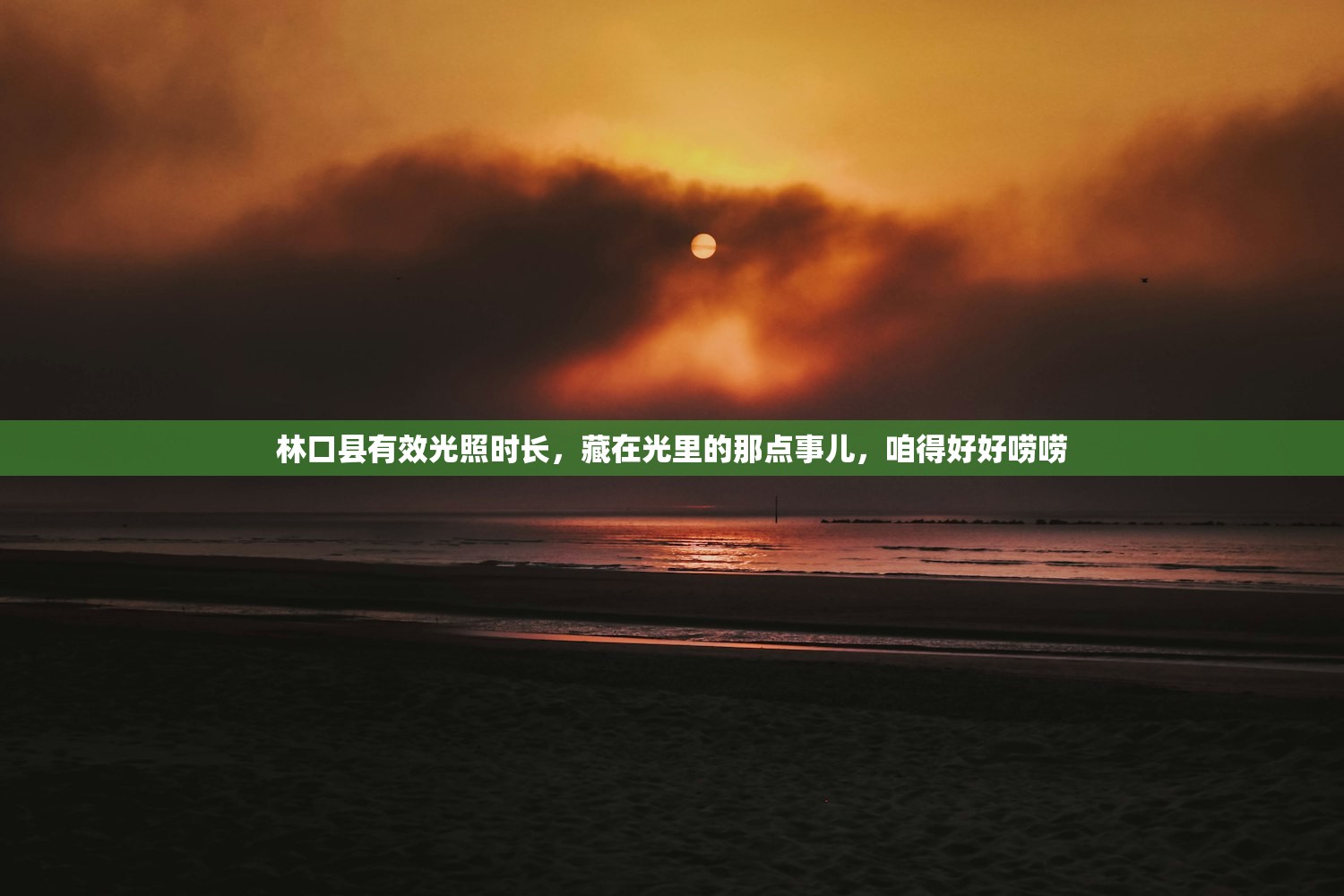 林口县有效光照时长，藏在光里的那点事儿，咱得好好唠唠