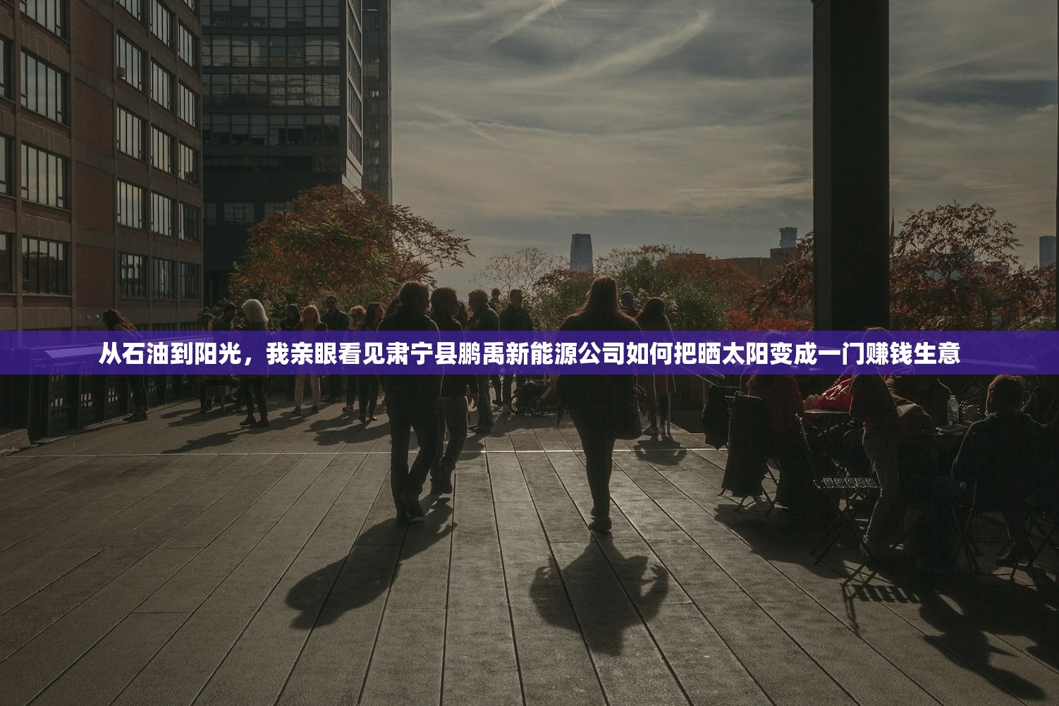 从石油到阳光，我亲眼看见肃宁县鹏禹新能源公司如何把晒太阳变成一门赚钱生意