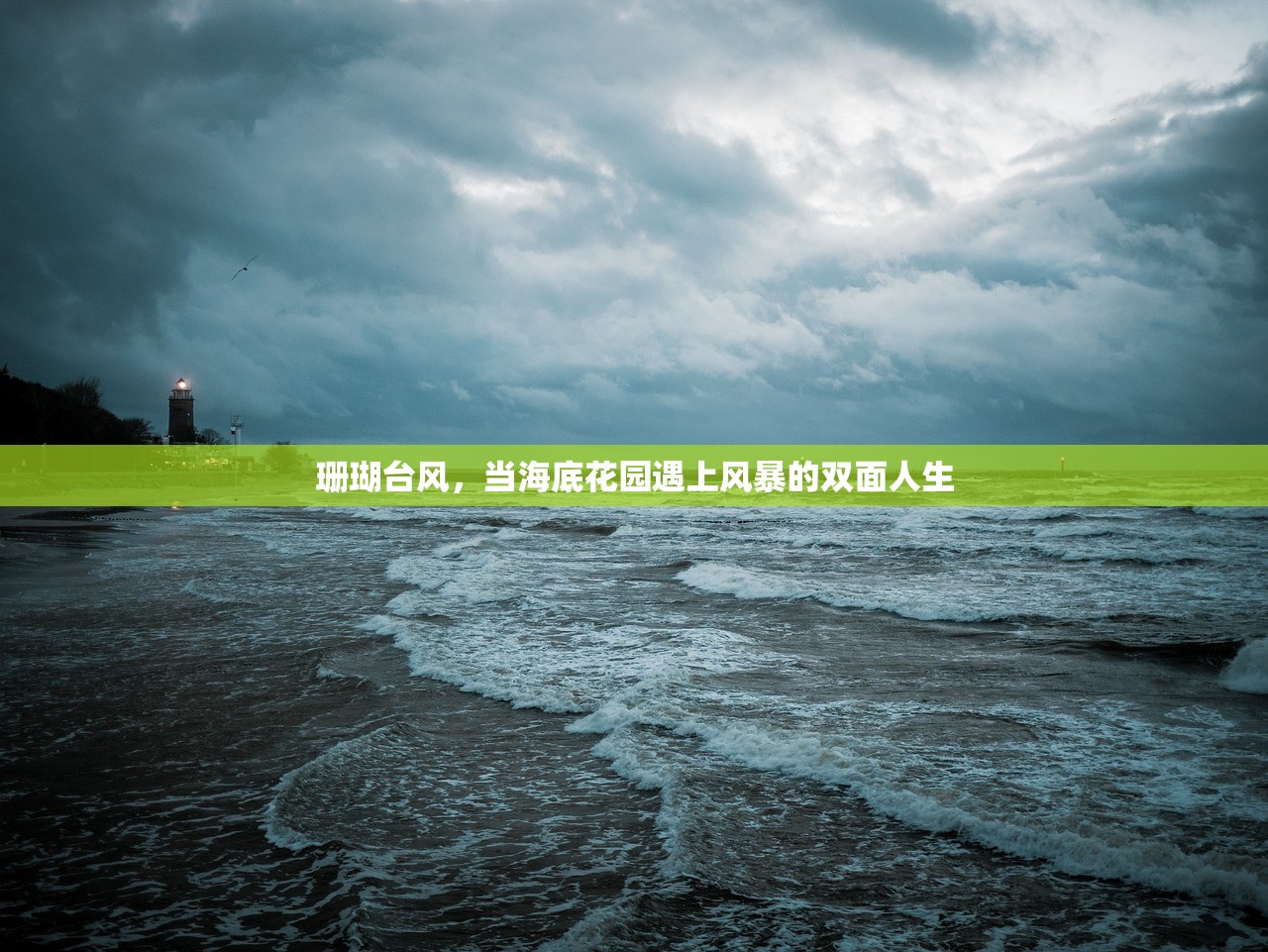 珊瑚台风，当海底花园遇上风暴的双面人生