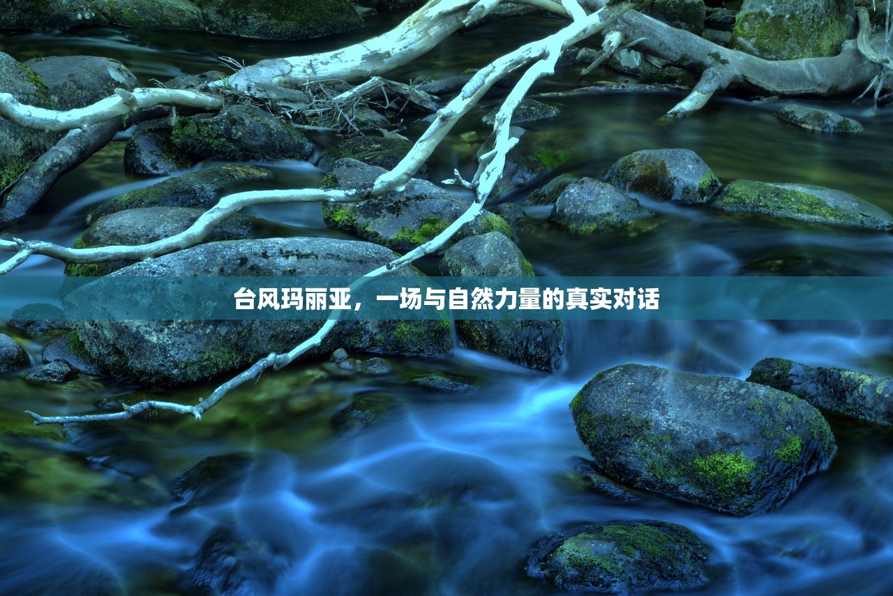 台风玛丽亚，一场与自然力量的真实对话