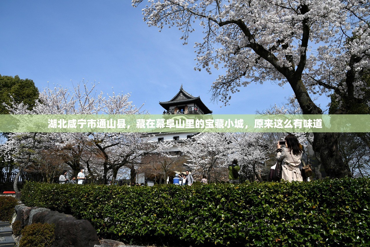 湖北咸宁市通山县，藏在幕阜山里的宝藏小城，原来这么有味道
