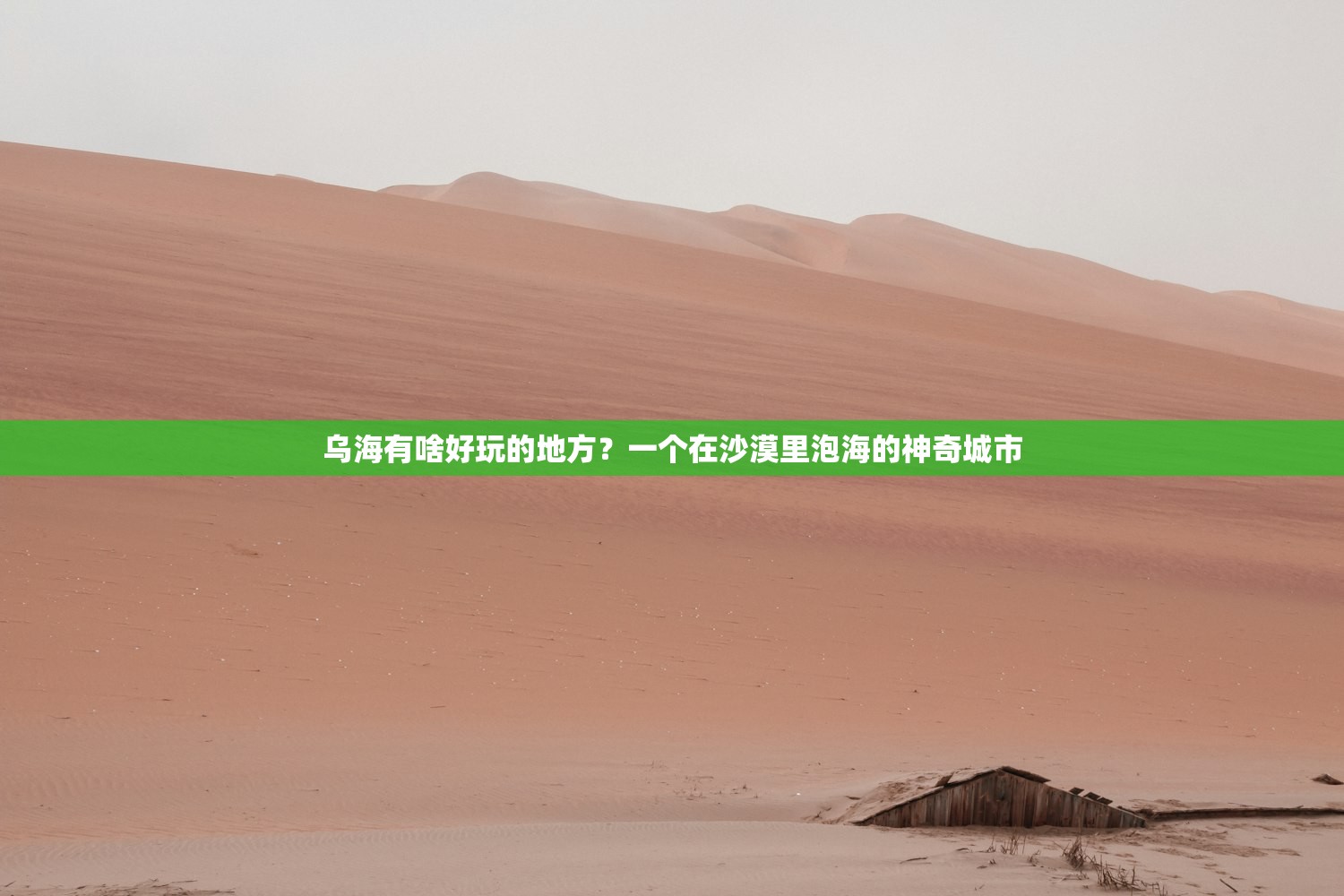 乌海有啥好玩的地方？一个在沙漠里泡海的神奇城市