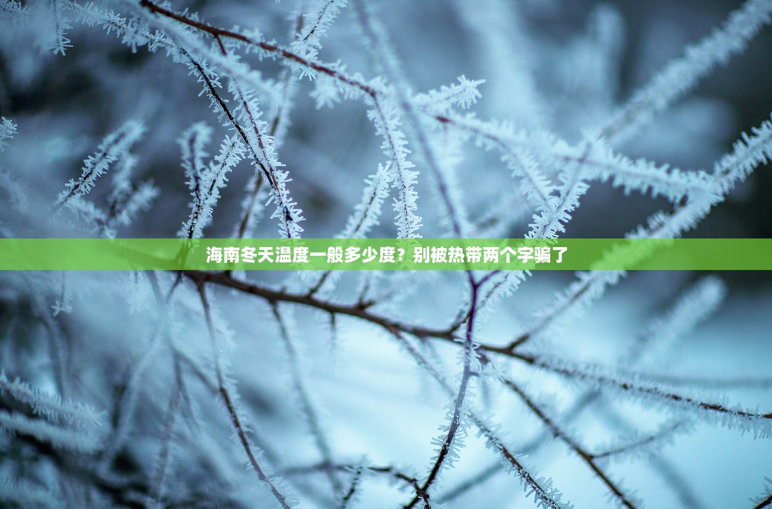 海南冬天温度一般多少度？别被热带两个字骗了