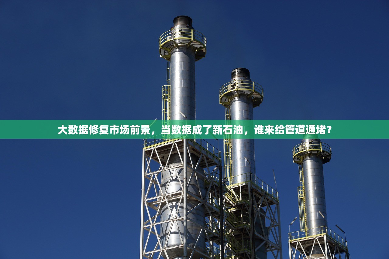 大数据修复市场前景，当数据成了新石油，谁来给管道通堵？