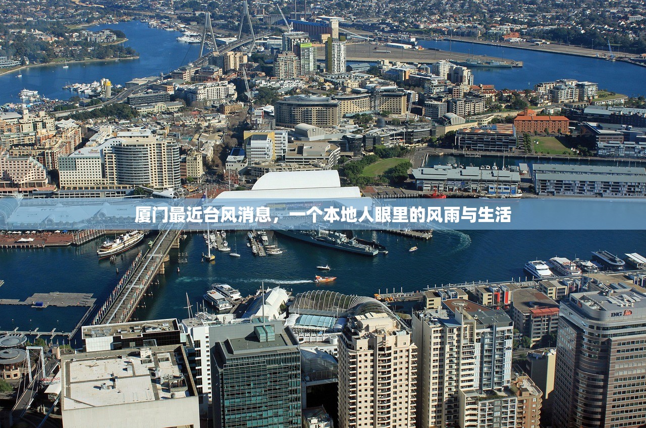 厦门最近台风消息，一个本地人眼里的风雨与生活