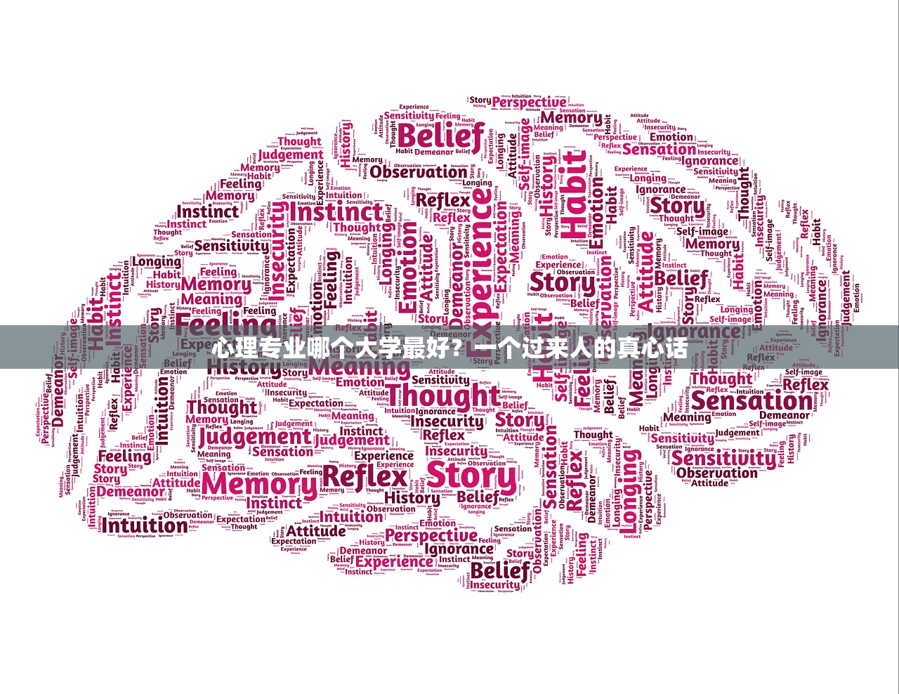 心理专业哪个大学最好？一个过来人的真心话