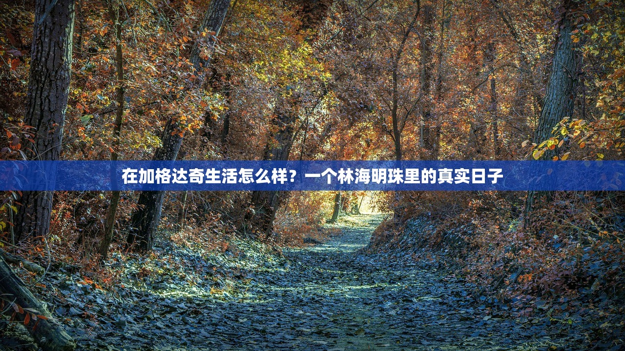 在加格达奇生活怎么样？一个林海明珠里的真实日子