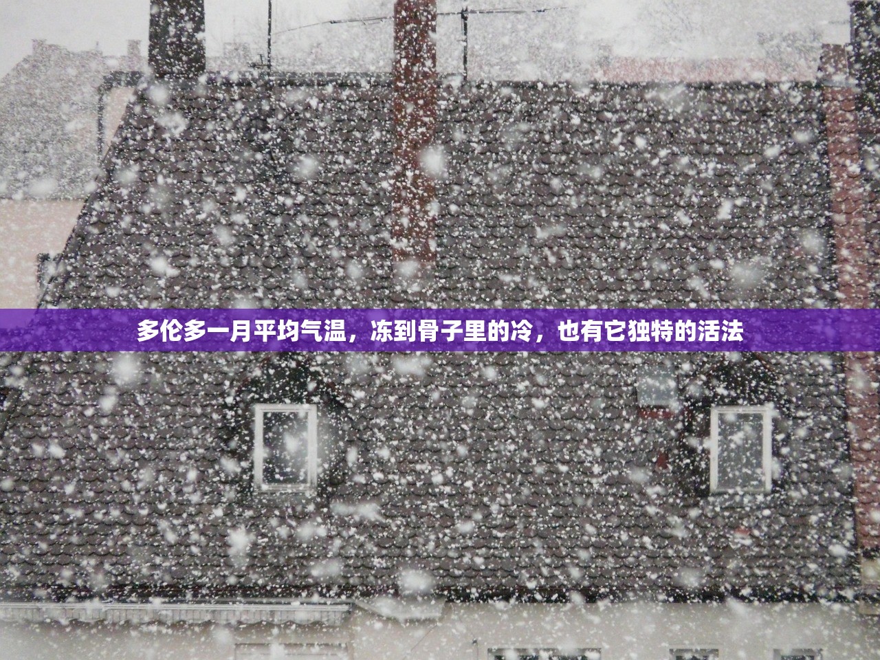 多伦多一月平均气温，冻到骨子里的冷，也有它独特的活法