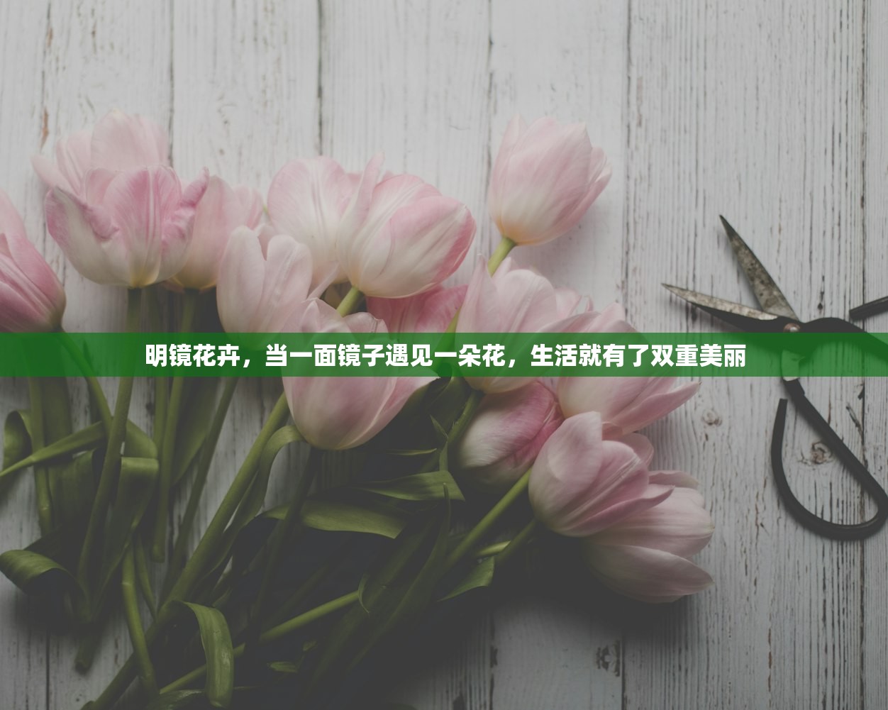 明镜花卉，当一面镜子遇见一朵花，生活就有了双重美丽