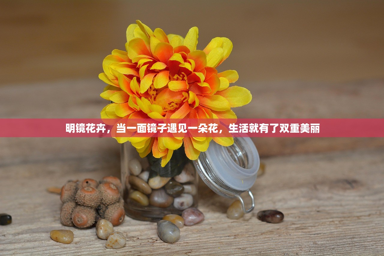明镜花卉，当一面镜子遇见一朵花，生活就有了双重美丽