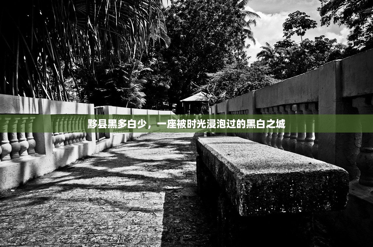 黟县黑多白少，一座被时光浸泡过的黑白之城