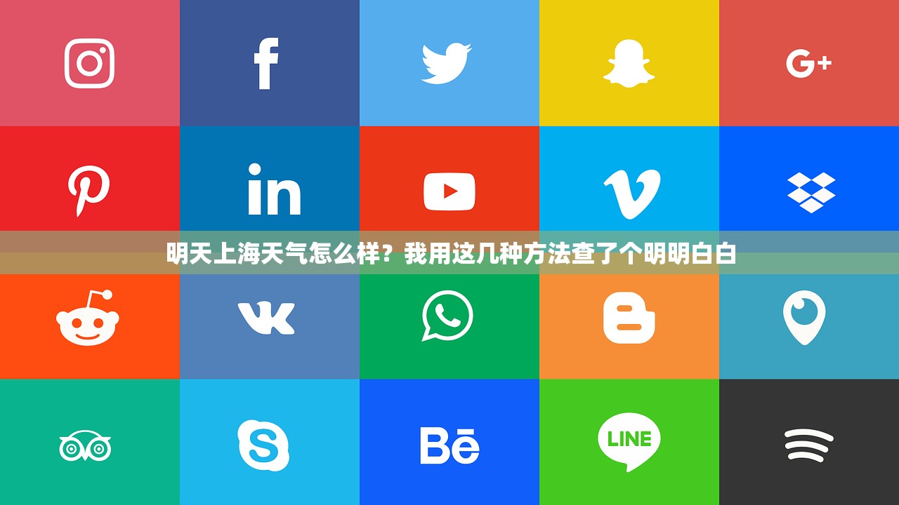 明天上海天气怎么样？我用这几种方法查了个明明白白