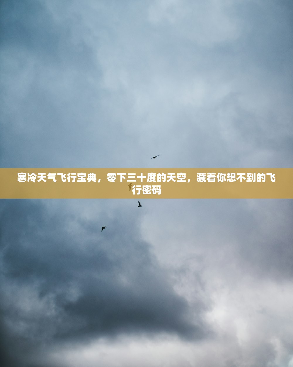 寒冷天气飞行宝典，零下三十度的天空，藏着你想不到的飞行密码
