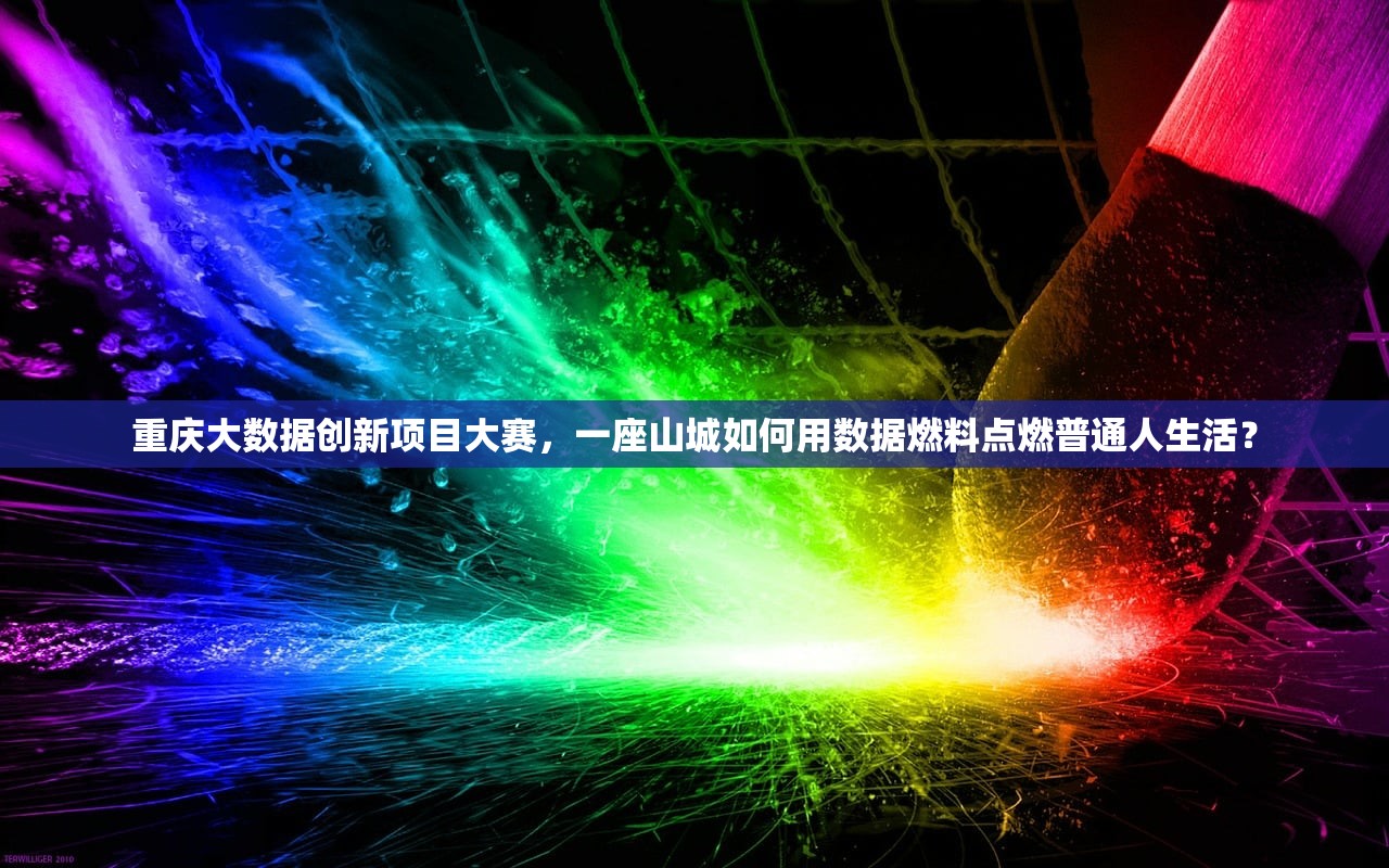 重庆大数据创新项目大赛，一座山城如何用数据燃料点燃普通人生活？
