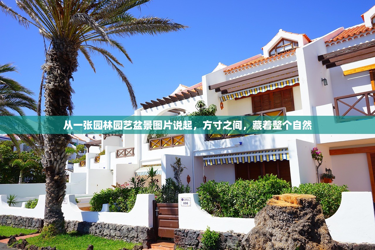 从一张园林园艺盆景图片说起，方寸之间，藏着整个自然