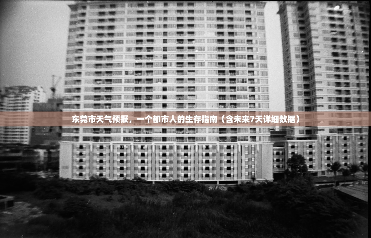 东莞市天气预报，一个都市人的生存指南（含未来7天详细数据）