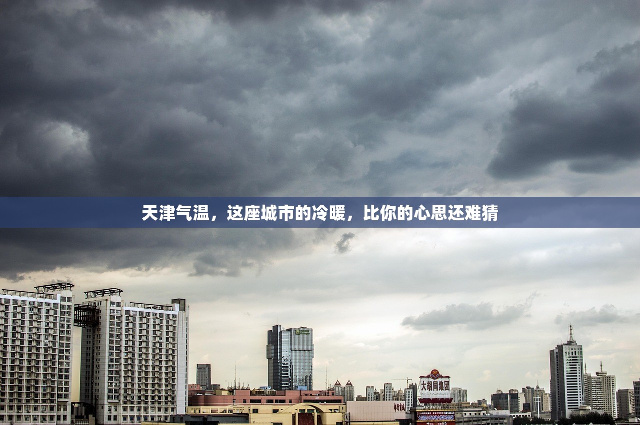 天津气温，这座城市的冷暖，比你的心思还难猜