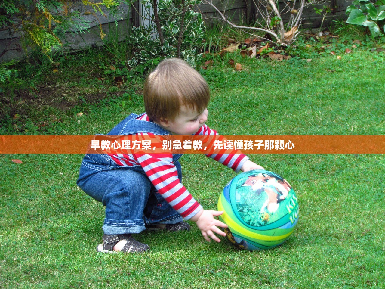早教心理方案，别急着教，先读懂孩子那颗心