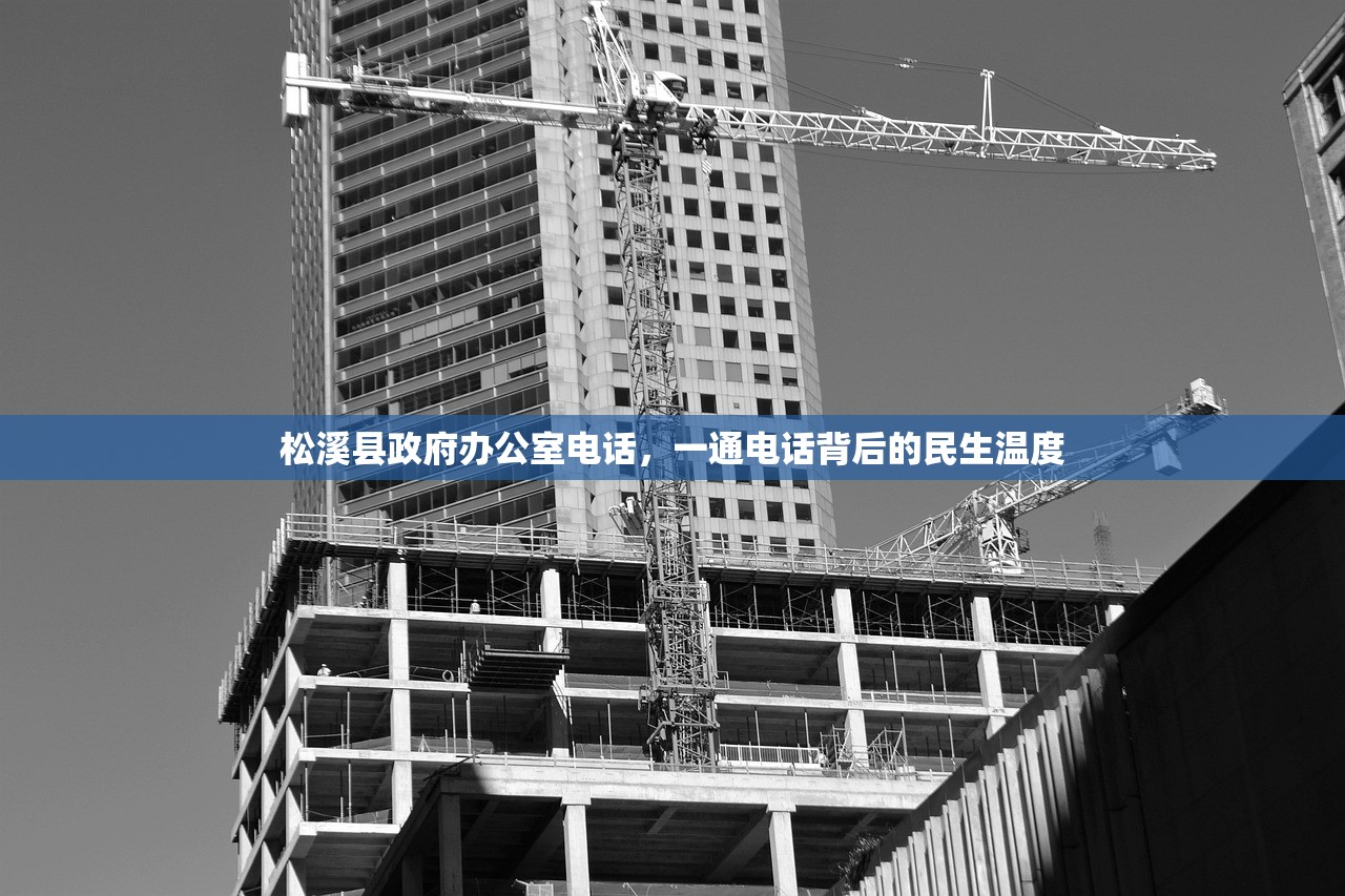 松溪县政府办公室电话，一通电话背后的民生温度