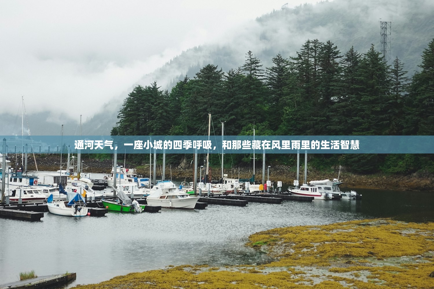 通河天气，一座小城的四季呼吸，和那些藏在风里雨里的生活智慧