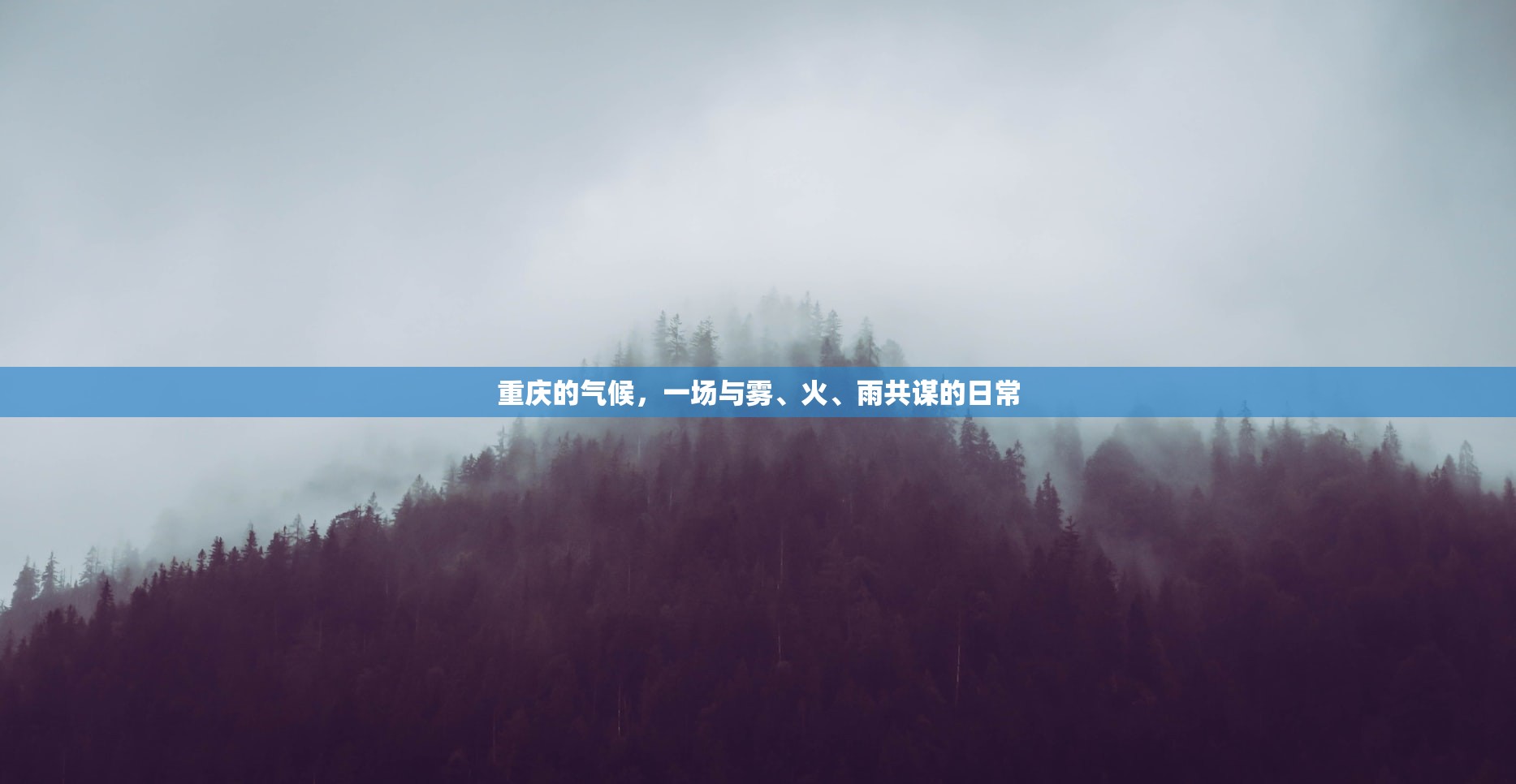 重庆的气候，一场与雾、火、雨共谋的日常