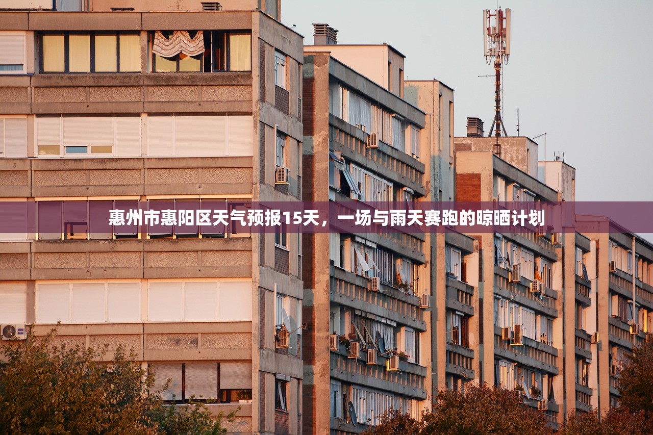 惠州市惠阳区天气预报15天，一场与雨天赛跑的晾晒计划