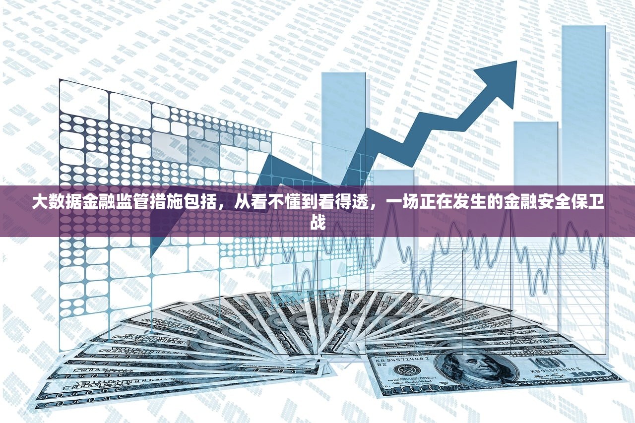 大数据金融监管措施包括，从看不懂到看得透，一场正在发生的金融安全保卫战