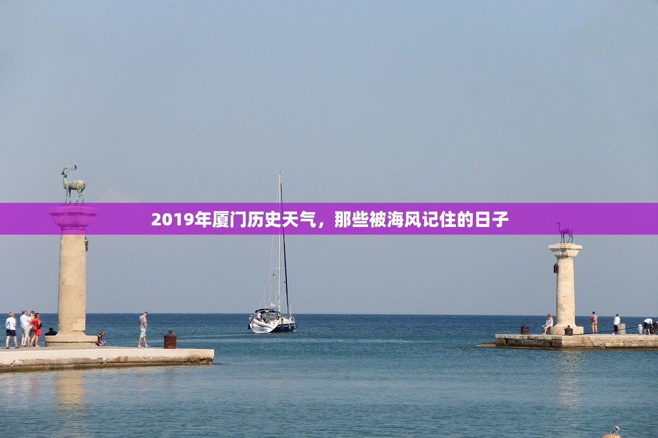 2019年厦门历史天气，那些被海风记住的日子