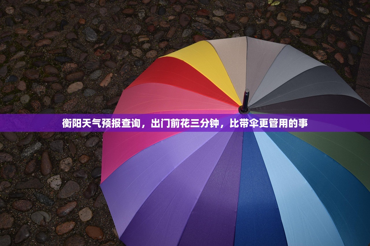 衡阳天气预报查询，出门前花三分钟，比带伞更管用的事
