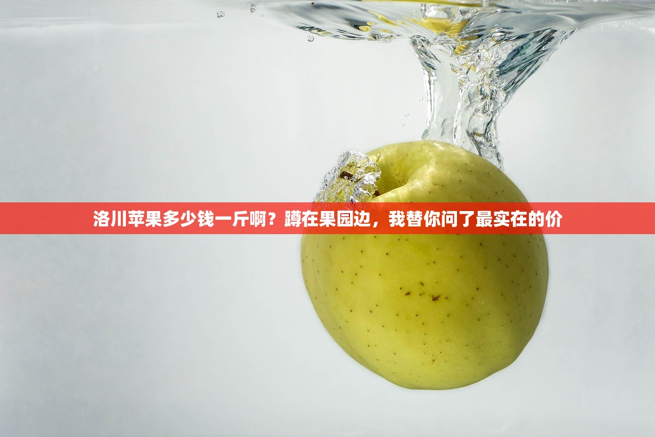 洛川苹果多少钱一斤啊？蹲在果园边，我替你问了最实在的价
