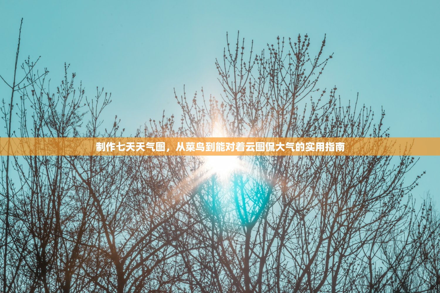 制作七天天气图，从菜鸟到能对着云图侃大气的实用指南