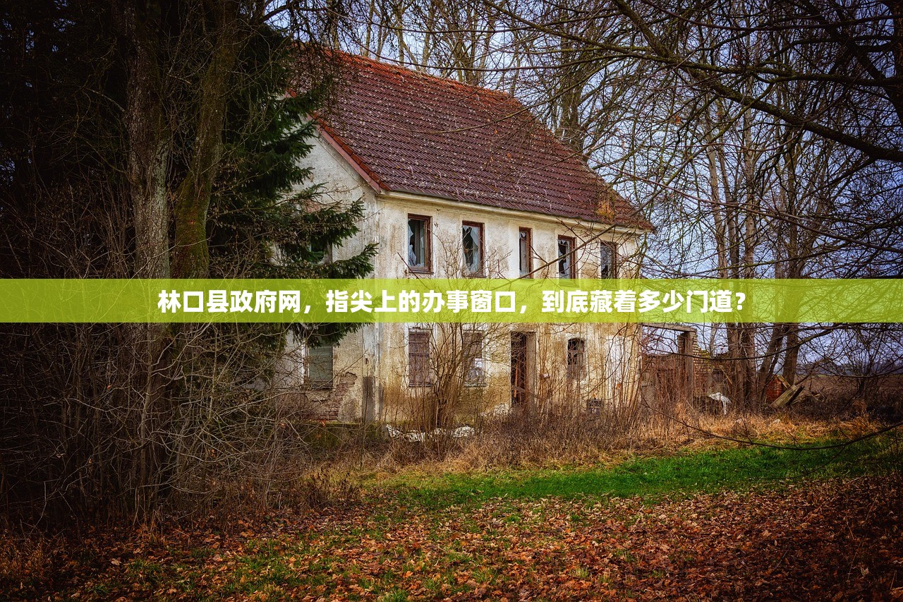 林口县政府网，指尖上的办事窗口，到底藏着多少门道？