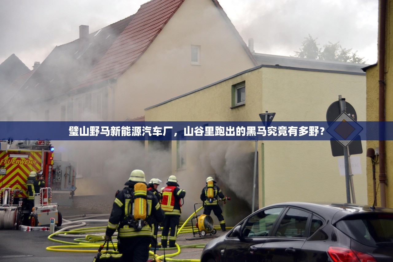 璧山野马新能源汽车厂，山谷里跑出的黑马究竟有多野？