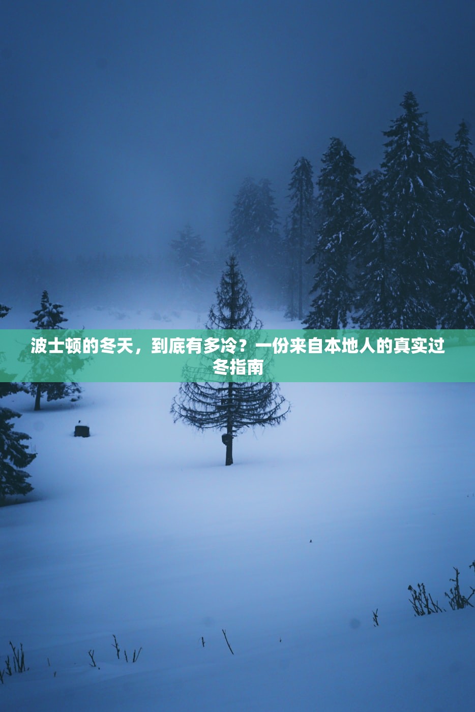 波士顿的冬天,到底有多冷?一份来自本地人的真实过冬指南 波士顿的冬天,到底有多冷?一份来自本地人的真实过冬指南