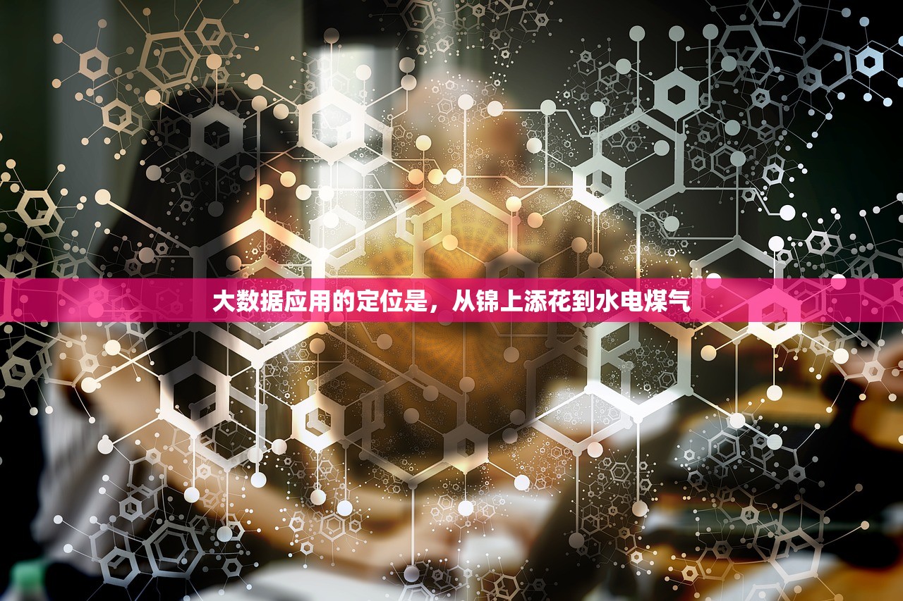大数据应用的定位是，从锦上添花到水电煤气