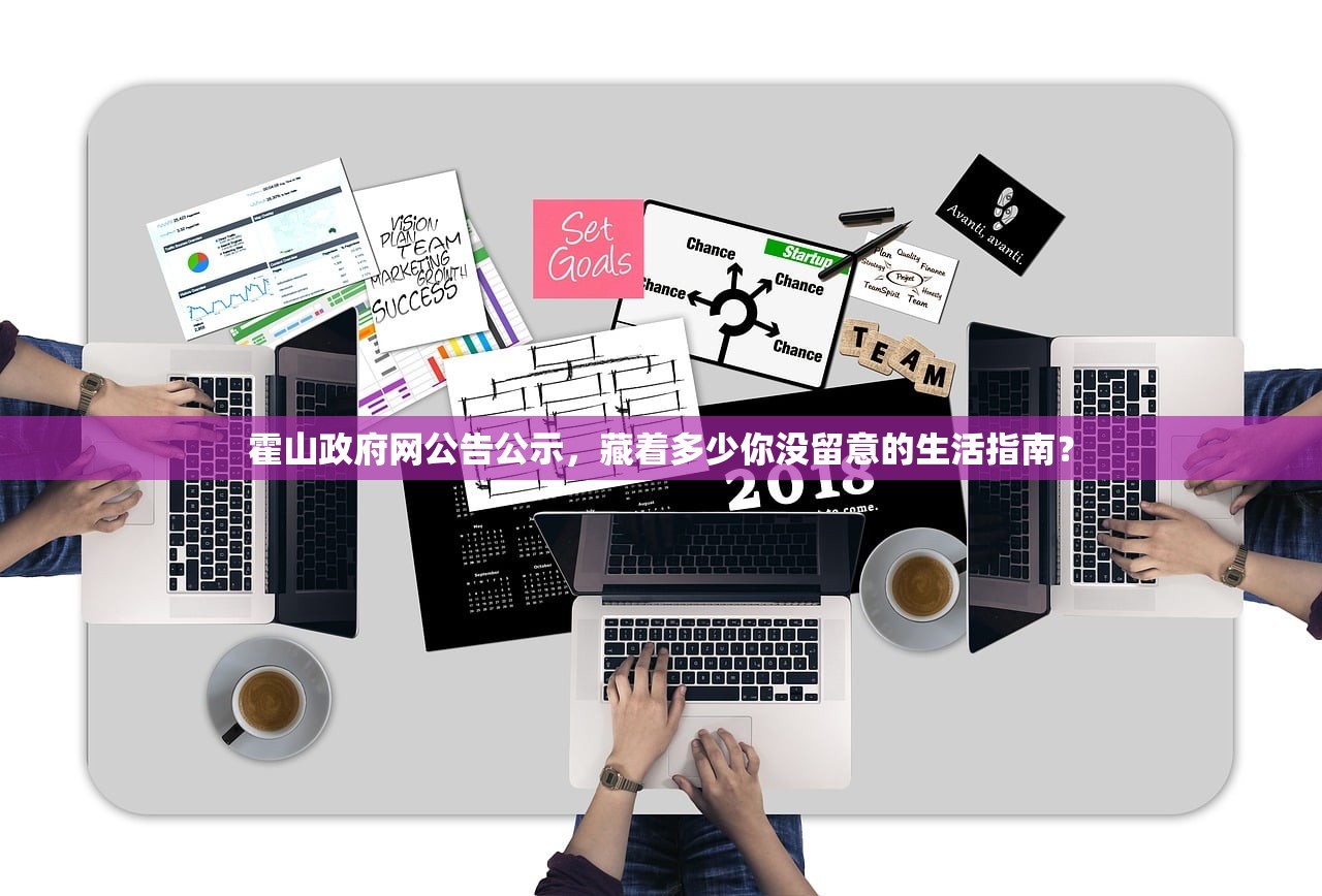 霍山政府网公告公示，藏着多少你没留意的生活指南？