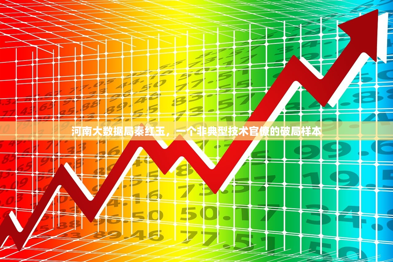 河南大数据局秦红玉，一个非典型技术官僚的破局样本