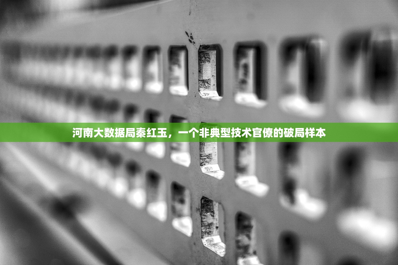 河南大数据局秦红玉，一个非典型技术官僚的破局样本