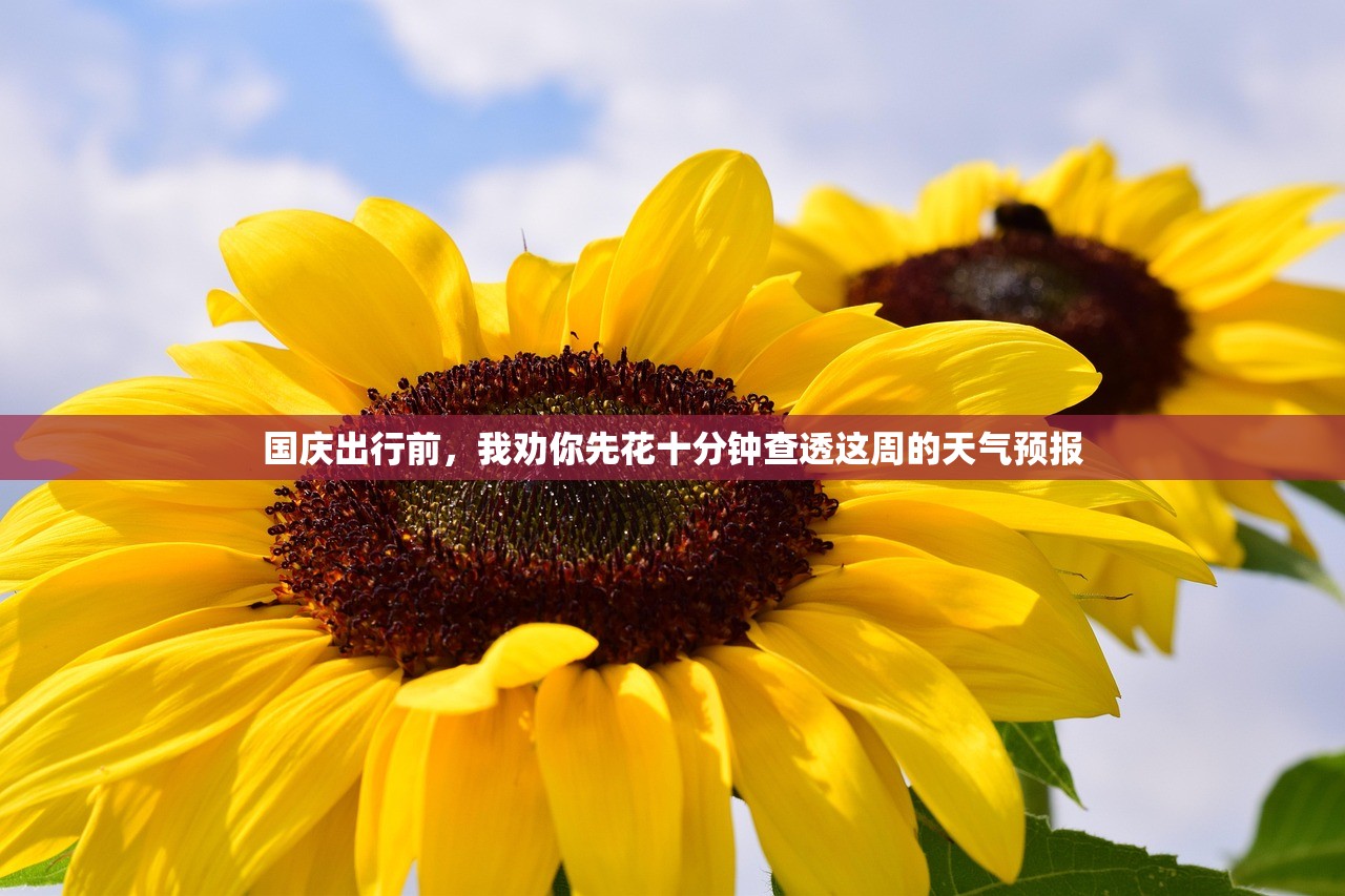 国庆出行前，我劝你先花十分钟查透这周的天气预报