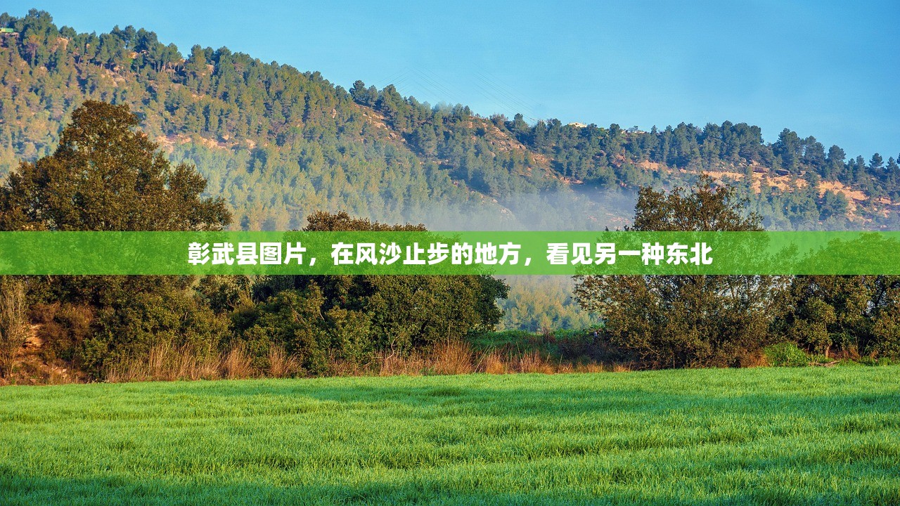 彰武县图片，在风沙止步的地方，看见另一种东北