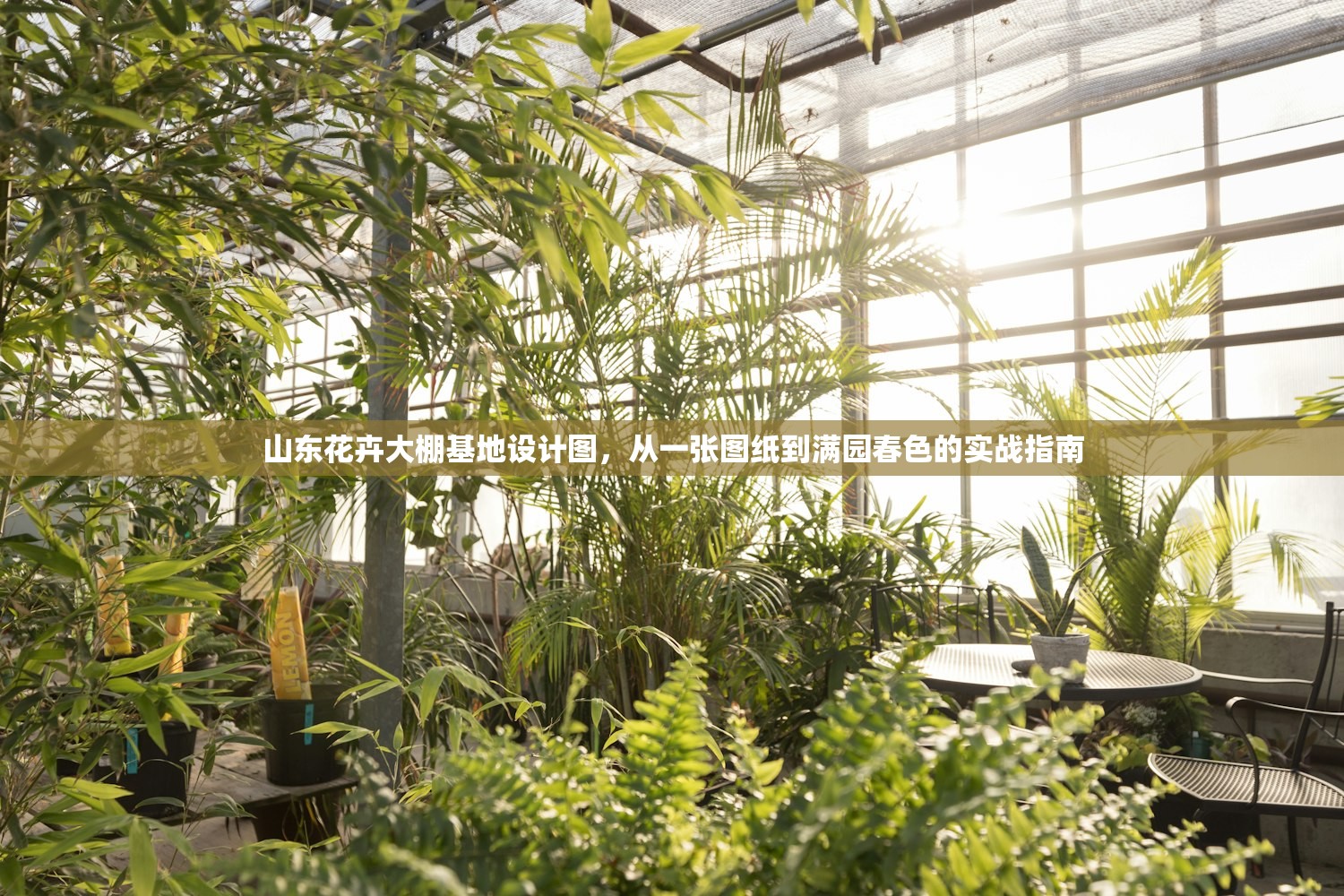 山东花卉大棚基地设计图，从一张图纸到满园春色的实战指南