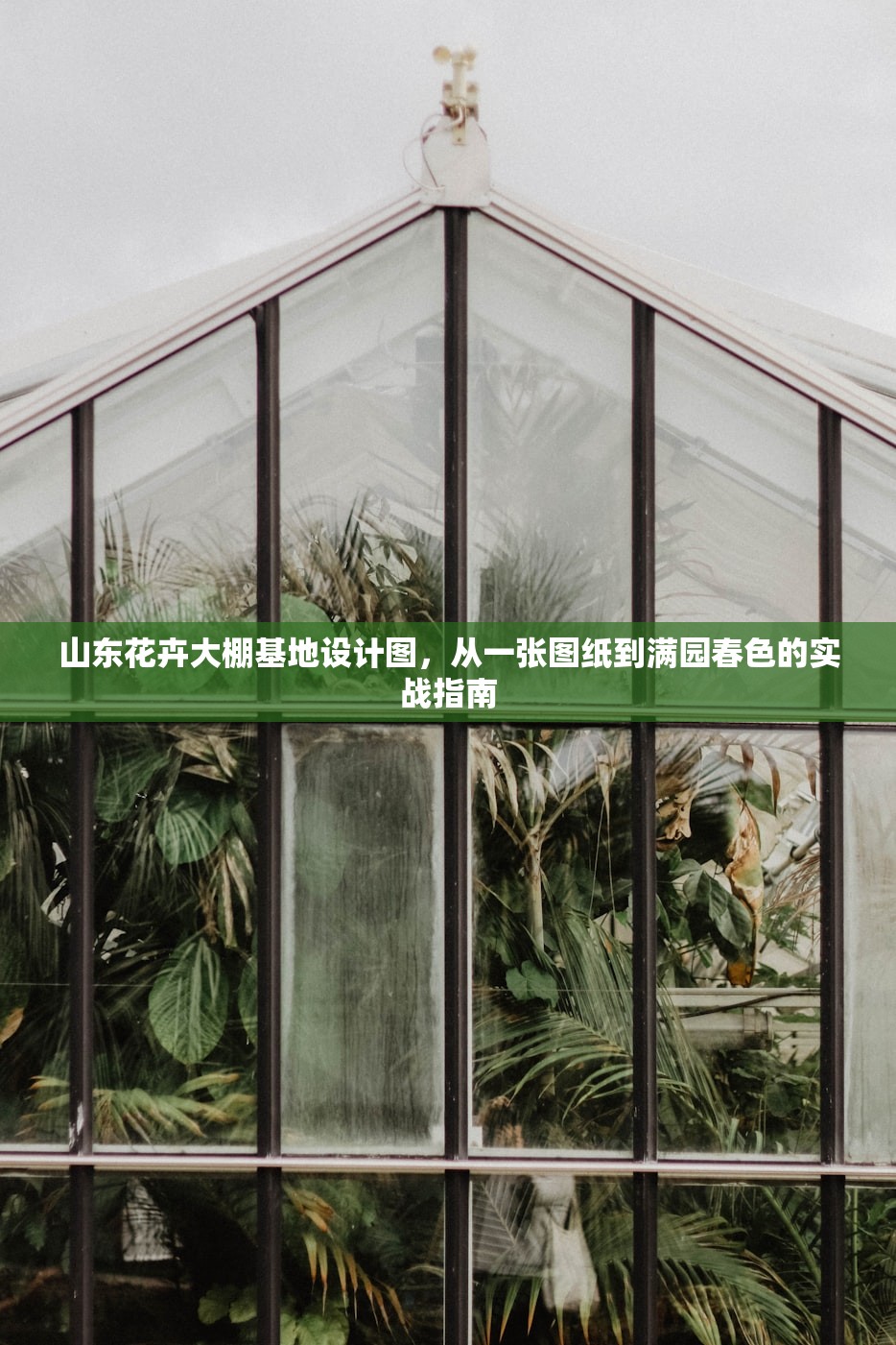 山东花卉大棚基地设计图，从一张图纸到满园春色的实战指南